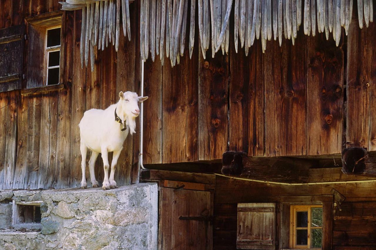Haus Karin Bed & Breakfast Sankt Gallenkirch Dış mekan fotoğraf